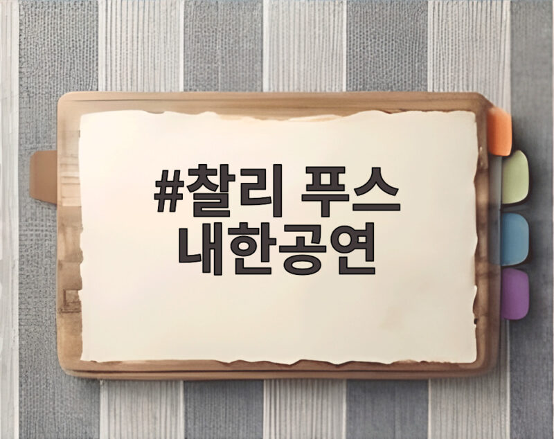 찰리 푸스 내한공연 3만 8천명 스타디움 나연 듀엣까지 한눈에 1 찰리 푸스 내한공연