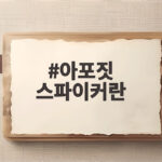 아포짓 스파이커란 팀 공격을 책임지는 해결사를 말한다 아포짓 스파이커란