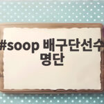 soop 배구단선수 명단