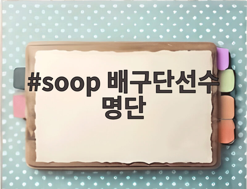 soop 배구단선수 명단