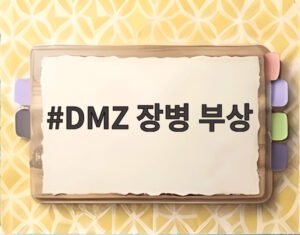 DMZ 장병 부상