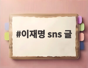 이재명 sns 글