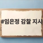 임은정 감찰 지시 파장 어디까지 번질까 궁금한 이야기 임은정 감찰 지시