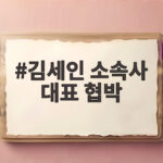 김세인 소속사 대표 협박 충격 폭로 무엇이 있었나 김세인 소속사 대표 협박