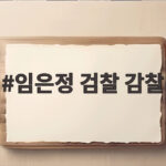임은정 검찰 감찰 논란 중수청 출범 첫 감찰의 의미는 임은정 검찰 감찰
