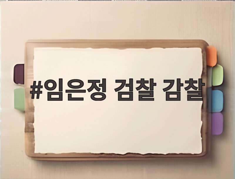 임은정 검찰 감찰 논란 중수청 출범 첫 감찰의 의미는 1 임은정 검찰 감찰