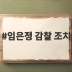 임은정 감찰 조치