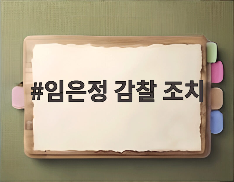 임은정 감찰 조치 그리고 중수청 1호 감찰 논란의 전말 1 임은정 감찰 조치