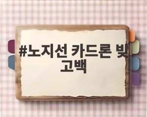 노지선 카드론 빚 고백