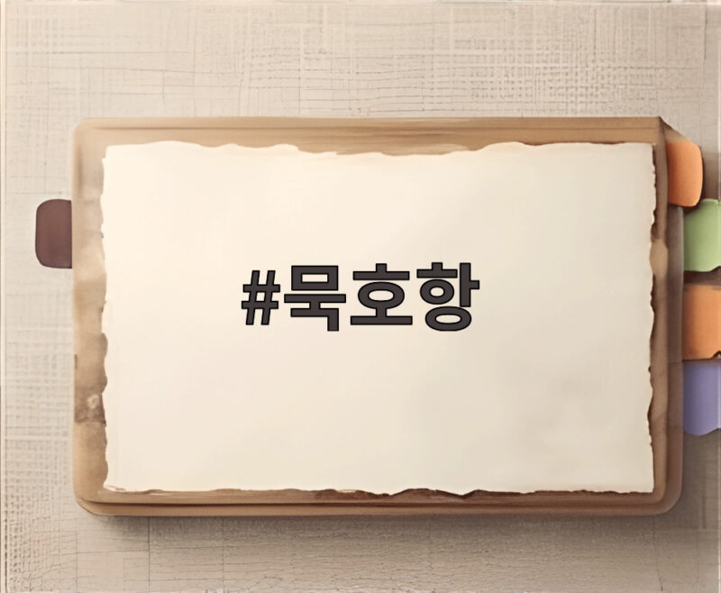 묵호항 가을 메밀꽃밭과 바다 폐철도 포토존이 기다려요 1 묵호항