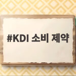 KDI 소비 제약