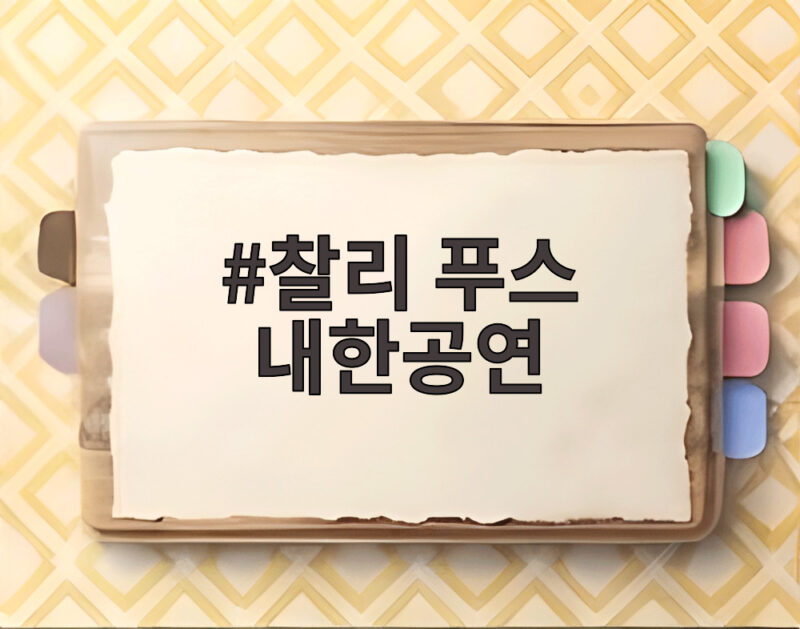 찰리 푸스 내한공연 10년 만의 스타디움 무대 3만 8천 명이 열광한 밤 1 찰리 푸스 내한공연