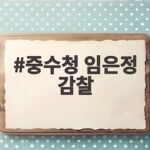 중수청 임은정 감찰 착수 고위 간부의 공개 비판 어디까지였나 중수청 임은정 감찰
