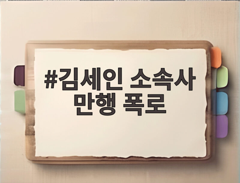 김세인 소속사 만행 폭로 전 대표 협박과 통장 횡령 진실 1 김세인 소속사 만행 폭로