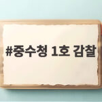 중수청 1호 감찰 임은정 청장 겨냥한 감찰의 전말과 향후 절차 중수청 1호 감찰