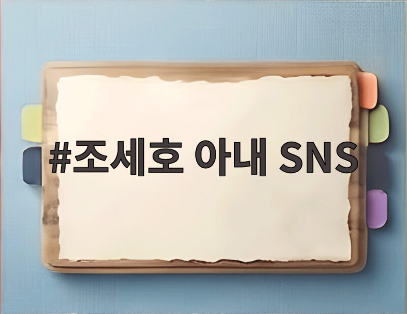 조세호 아내 SNS 계정 조폭 소개 댓글에 직접 답해 화제 1 조세호 아내 SNS