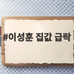 이성훈 집값 급락