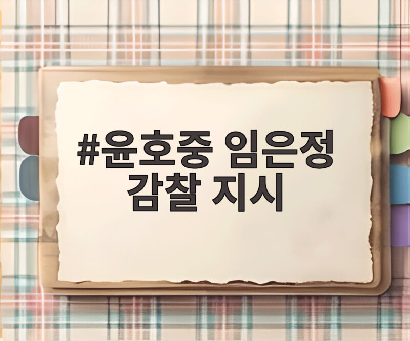 윤호중 임은정 감찰 지시 중수청 1호 감찰 대상이 된 정치 논란 총정리와 향후 일정 1 윤호중 임은정 감찰 지시