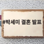 박세미 결혼 발표 깜짝 소식 이번 주 웨딩마치 예비신랑 공개 박세미 결혼 발표