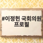 이정헌 국회의원 프로필 국감에서 개인정보 유출 기업에 던진 질문 이정헌 국회의원 프로필