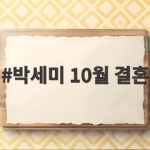 박세미 10월 결혼 1살 연하 예비신랑과 2년 열애 끝에 웨딩마치 박세미 10월 결혼