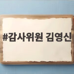 감사위원 김영신 타이거파 부두목 논란 국감에서 무슨 일이 있었나 감사위원 김영신
