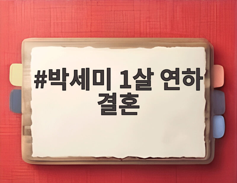 박세미 1살 연하 결혼