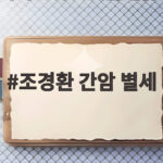 조경환 간암 별세 14주기 딸이 전한 마지막 시간과 대표 작품들 조경환 간암 별세