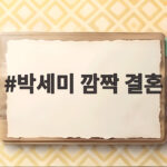 박세미 깜짝 결혼