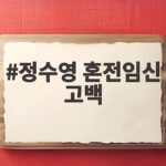 정수영 혼전임신 고백 결혼과 출산 고민하는 이들에게 전한 조언 정수영 혼전임신 고백