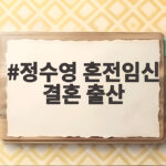 정수영 혼전임신 결혼 출산 후회 없어요 과속스캔들 고백 정수영 혼전임신 결혼 출산