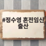 정수영 혼전임신 출산 솔직 고백 후회 없다는 이유 정수영 혼전임신 출산