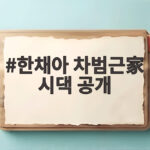 한채아 차범근家 시댁 공개