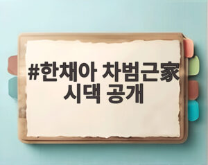 한채아 차범근家 시댁 공개