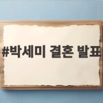 박세미 결혼 발표 깜짝 소식 예비 신랑 정체 알아보기 박세미 결혼 발표