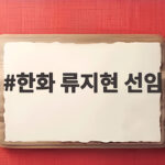 한화 류지현 선임 확정 3년 20억 계약으로 새 출발 기대감 높아 한화 류지현 선임