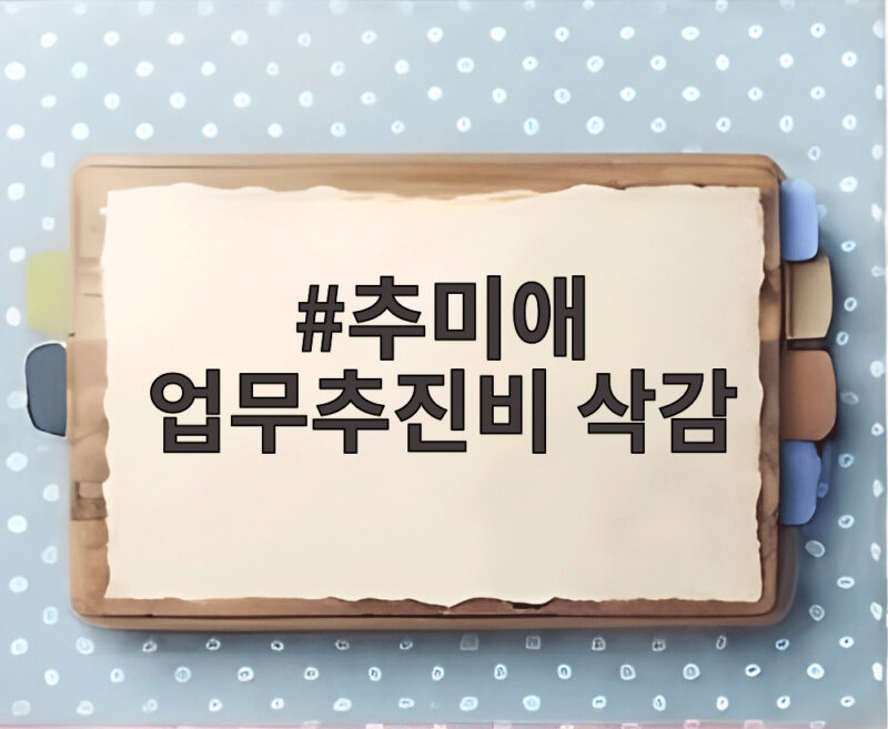 추미애 업무추진비 삭감 국장급 20프로 본인 10프로가 정답일까 1 추미애 업무추진비 삭감