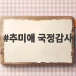 추미애 국정감사