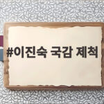 이진숙 국감 제척 논란 국민의힘 법적 대응 헌재 권한쟁의 이진숙 국감 제척