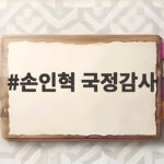 손인혁 국정감사 헌재 사무처장 대법관 공석 답변 살펴보니 손인혁 국정감사