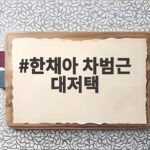 한채아 차범근 대저택 공개 드넓은 정원과 바다뷰 힐링 현장 한채아 차범근 대저택