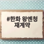 한화 왕옌청 재계약 확정 2027 시즌 11승 에이스와 함께 한화 왕옌청 재계약