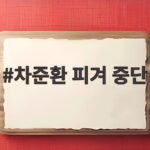 차준환 피겨 중단 선언 이후 연예계 행보가 궁금하다 차준환 피겨 중단