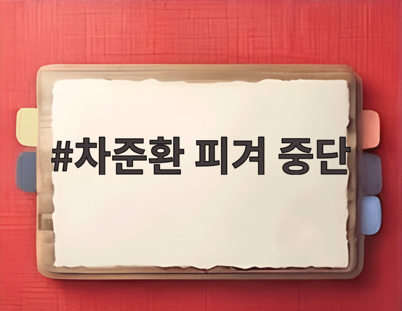 차준환 피겨 중단 선언 이후 연예계 행보가 궁금하다 1 차준환 피겨 중단