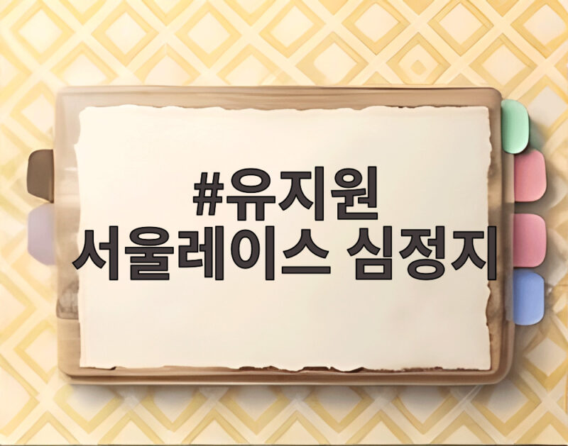 유지원 서울레이스 심정지 사망 사고와 러닝 안전 수칙 확인 1 유지원 서울레이스 심정지