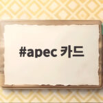 apec 카드 궁금증 해결하고 국제행사 참석 준비 마치세요 apec 카드