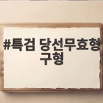 특검 당선무효형 구형 항소심 쟁점과 선거비용 반환 전망 특검 당선무효형 구형
