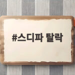 스디파 탈락
