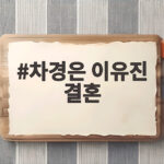 차경은 이유진 결혼 교제 5개월 만에 11월 웨딩마치 차경은 이유진 결혼