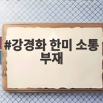 강경화 한미 소통 부재 정보협력 차질 언제 해소될까 강경화 한미 소통 부재